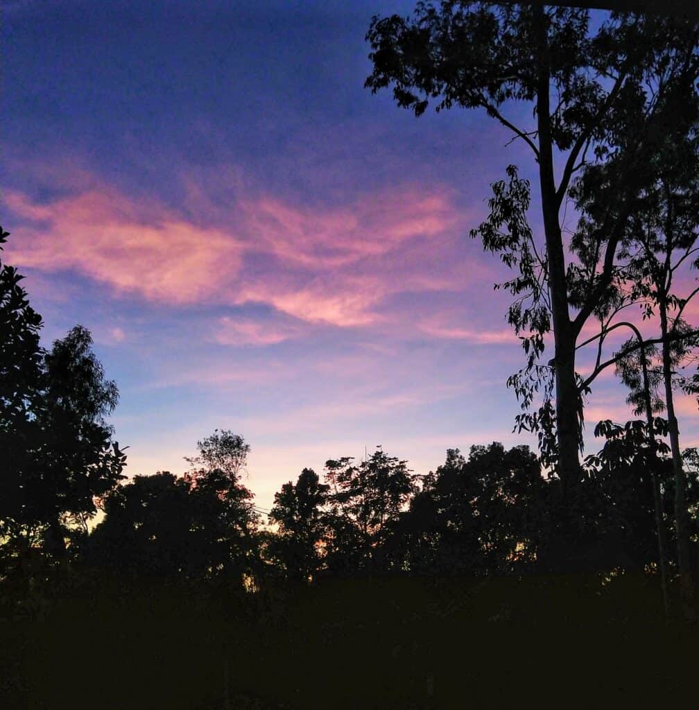 Sunrise in October in a tropical garden