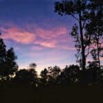 Sunrise in October in a tropical garden