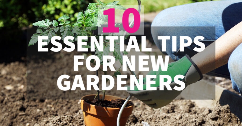 10 essential tips for new gardeners