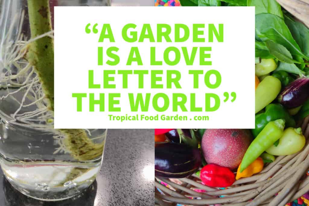 A garden is a love letter to the world