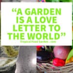 A garden is a love letter to the world