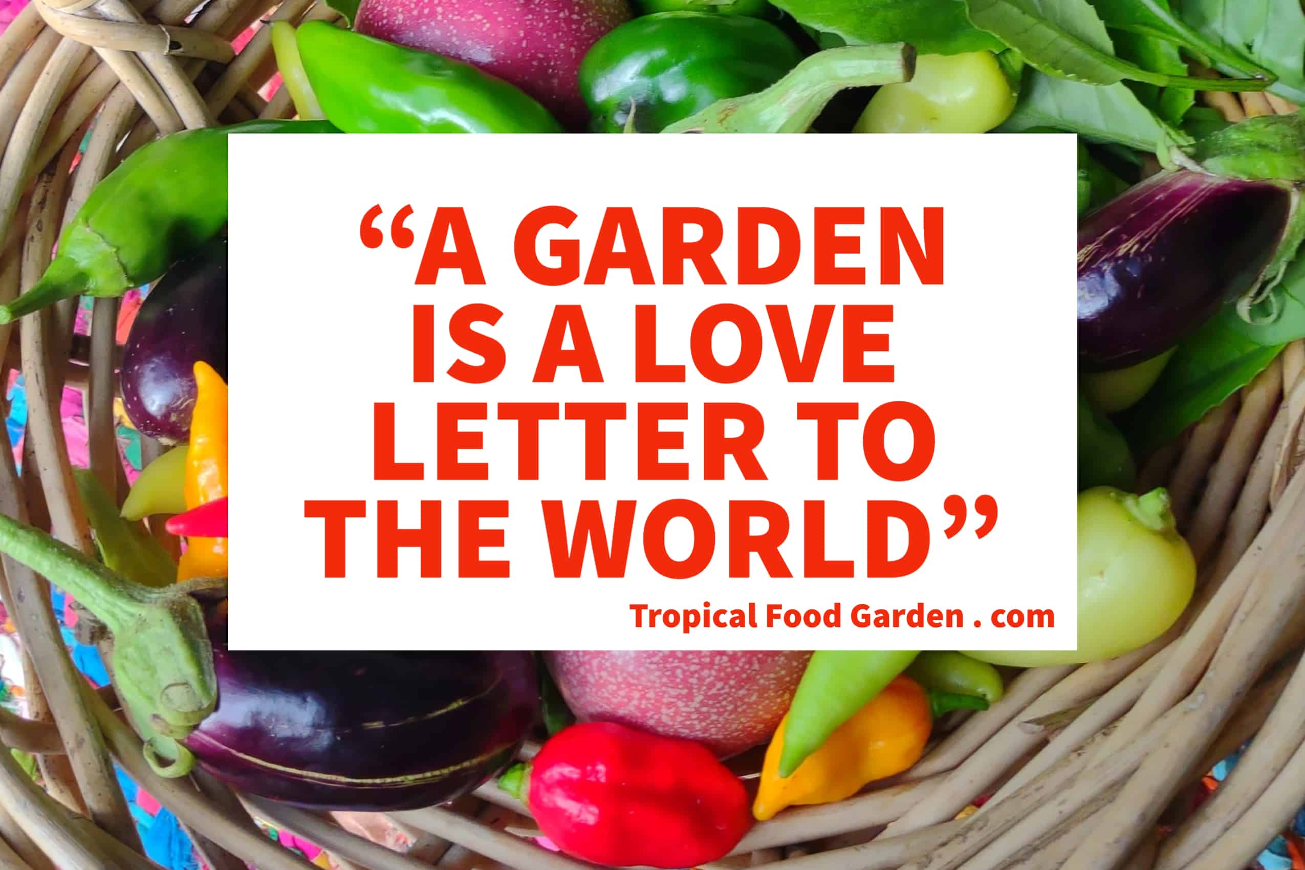 A garden is a love letter to the world quote by tropical food garden