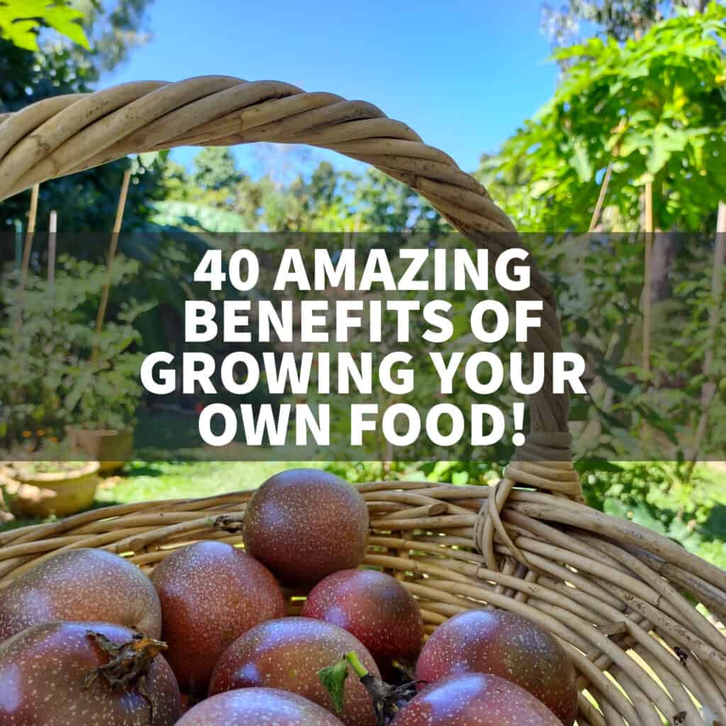 growing your own food vs buying essay