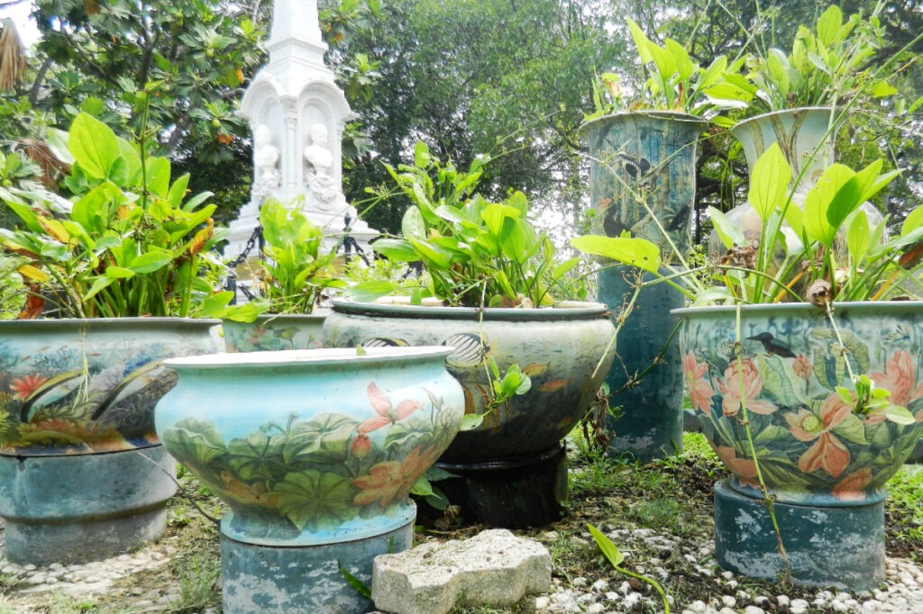 ponds in ceramic pots
