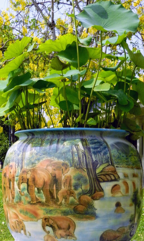 ponds in ceramic pots in the garden