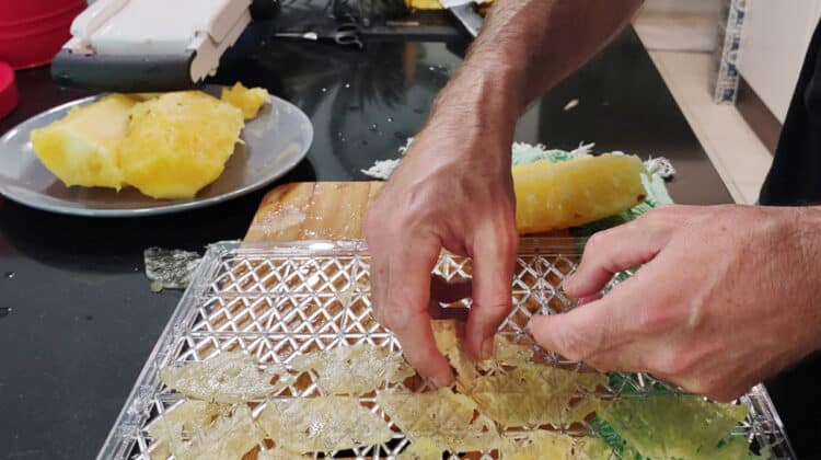 preserving excess pineapple