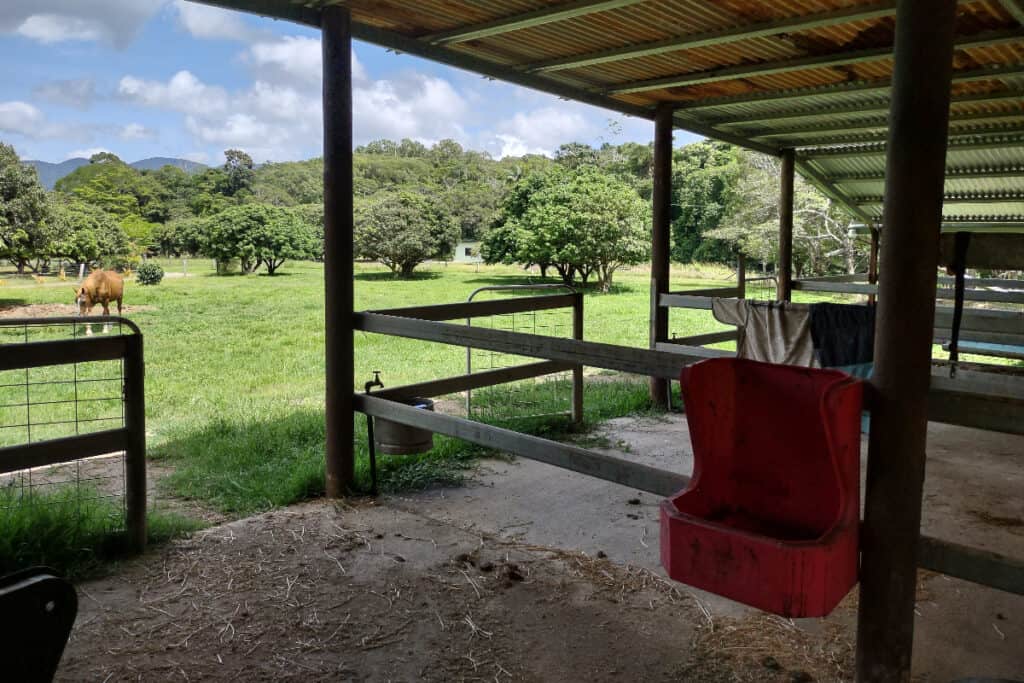 horse paddock and stables