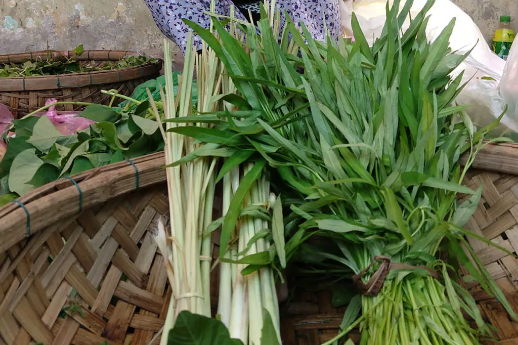 fresh lemongrass for sale at a market in Vietnam