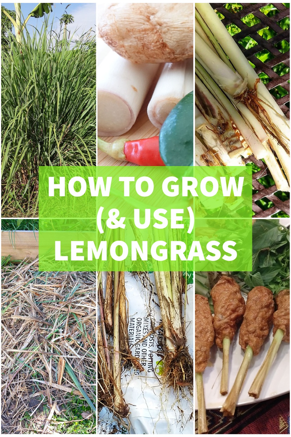 lemongrass