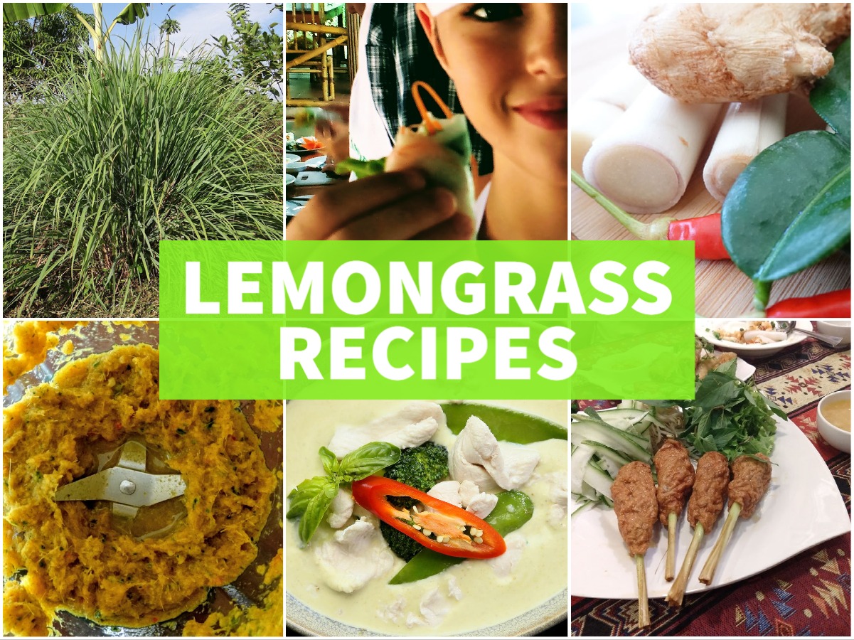 lemongrass recipes uses lemongrass recipes