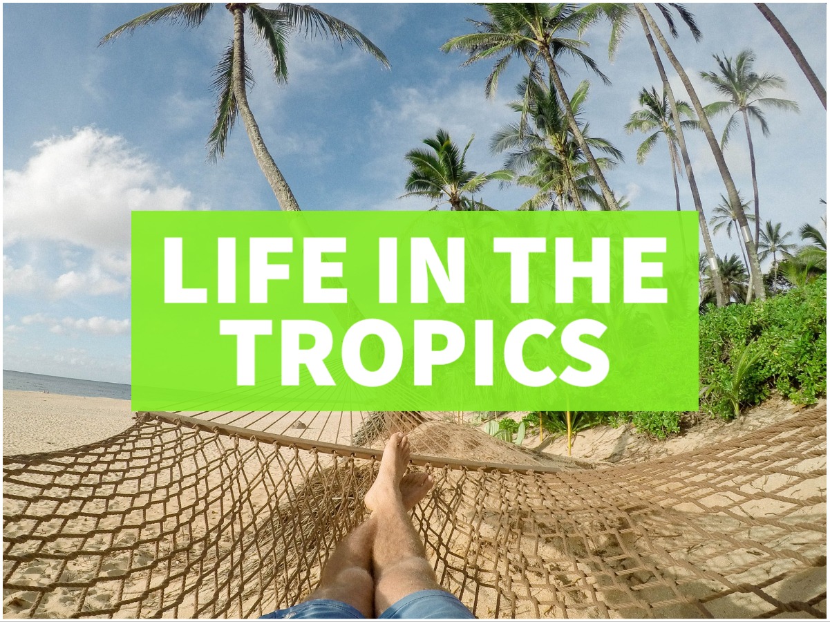 life in the tropics tropical beach life