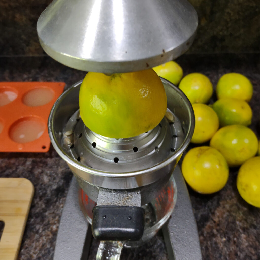 processing lemons