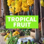 Tropical Fruits Tropical Fruits