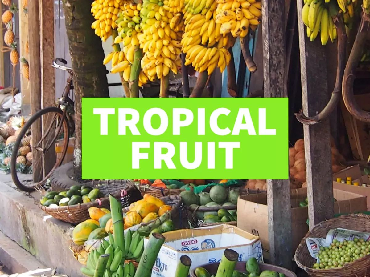 Tropical Fruits