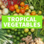 tropical vegetables