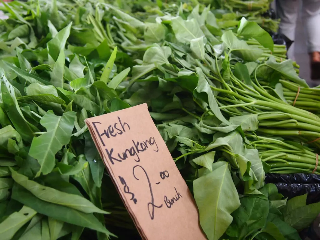 Tropical vegetable kung kong water spinach
