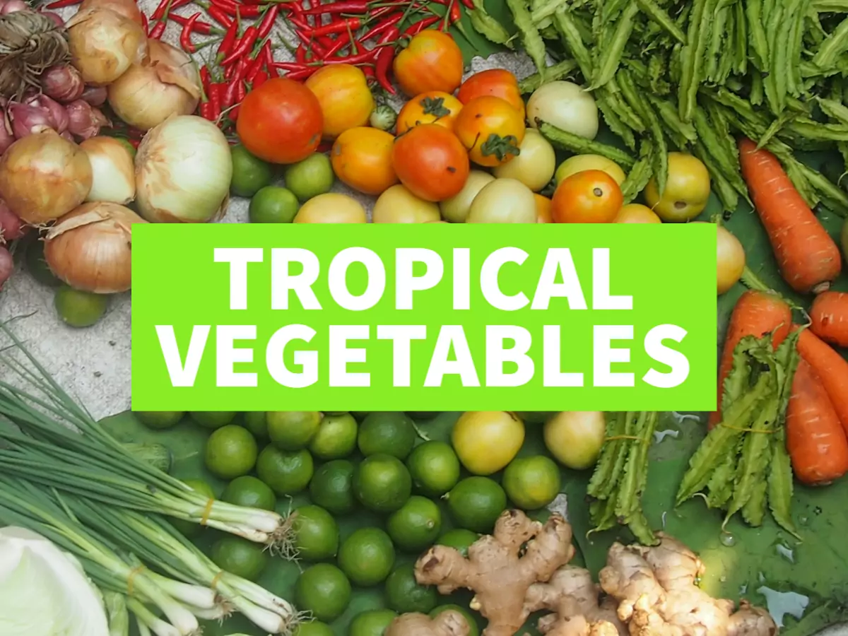 tropical vegetables