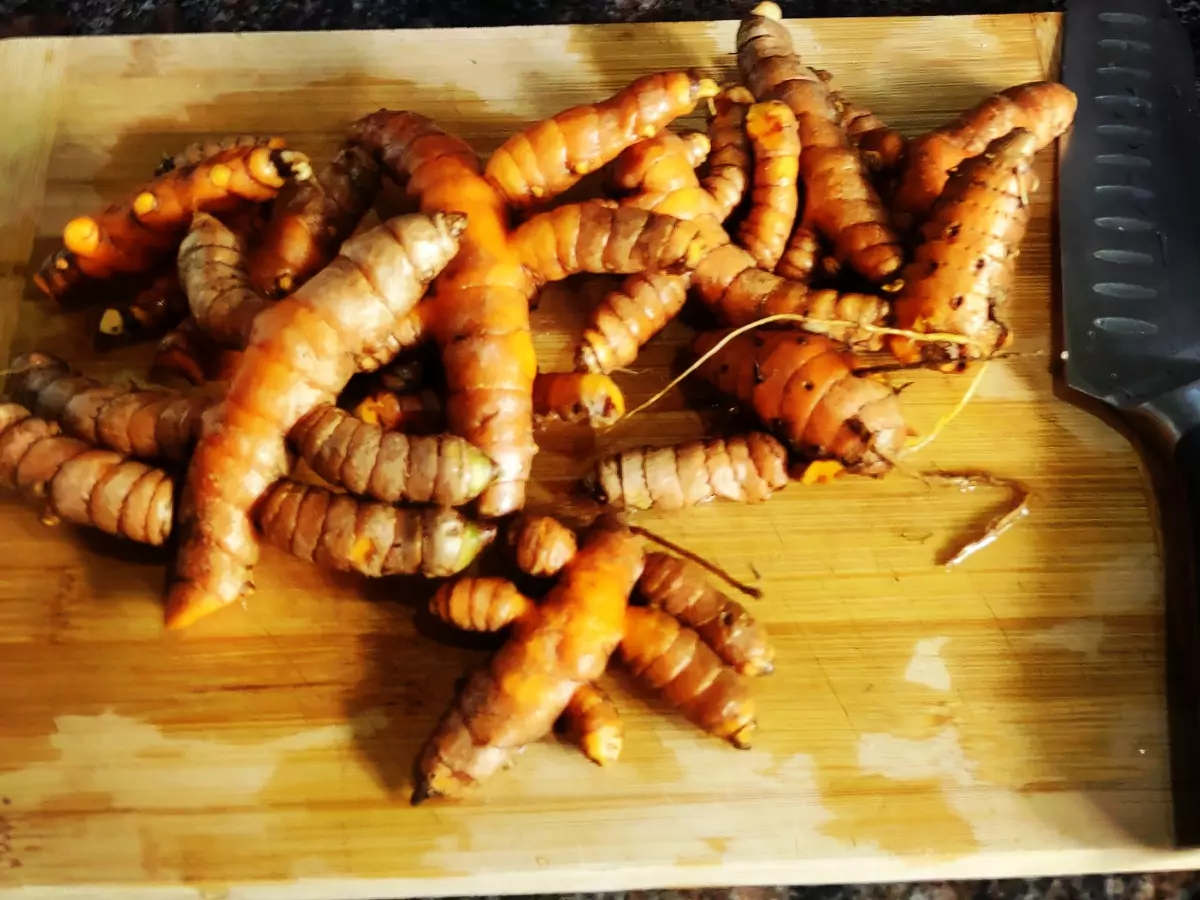 tropical vegetable turmeric rot veg