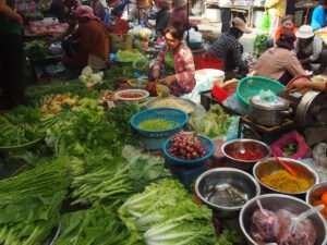 types of lettuce to grow in the tropics