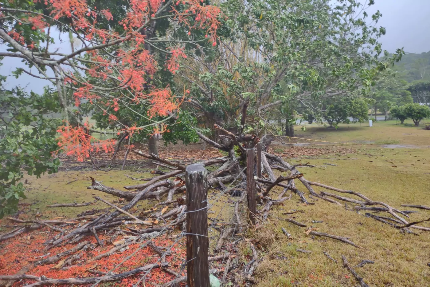 tropical cyclone damage to a fence