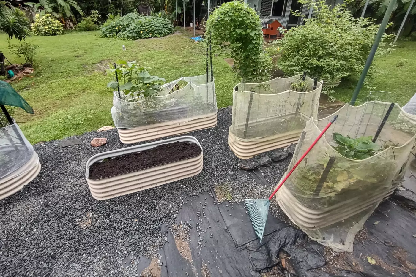 Tropical vegetable garden