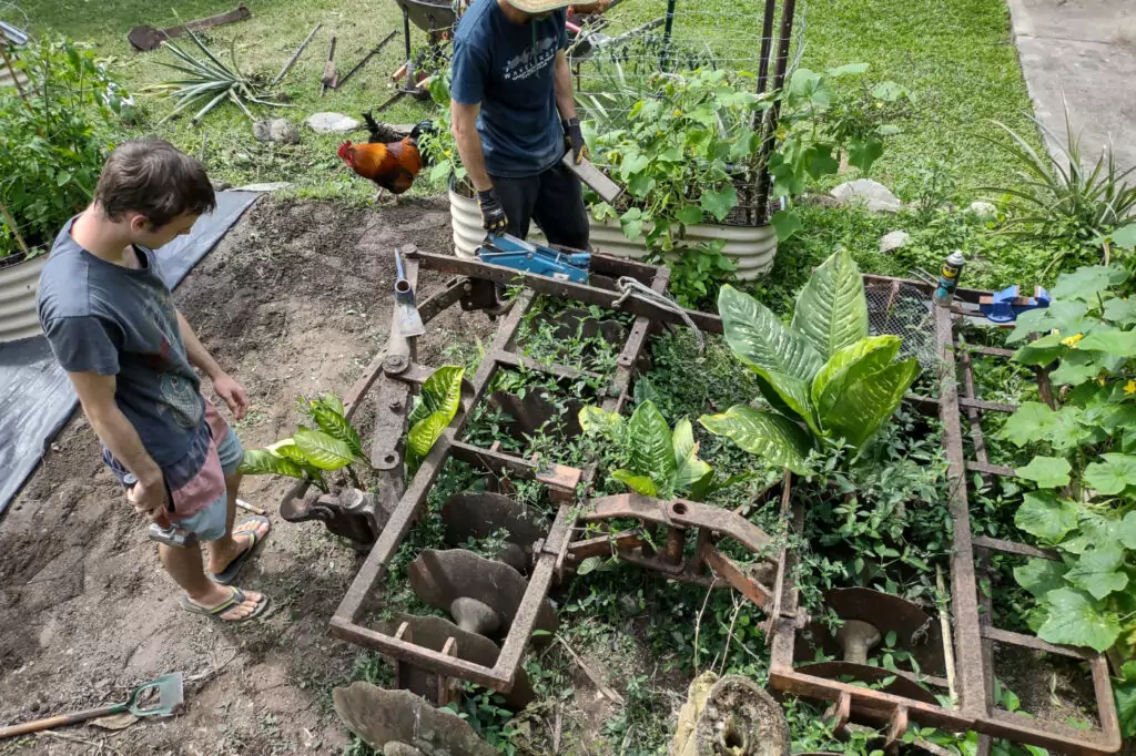 Building a tropical vegetable garden