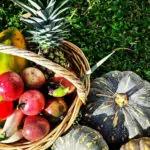 produce from the tropical food garden