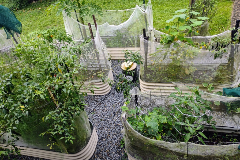 Raised garden bed kitchen garden