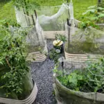 Raised garden bed kitchen garden